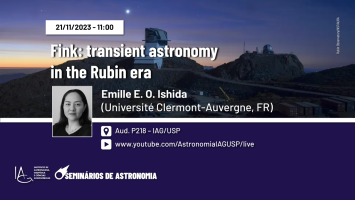 Fink: transient astronomy in the Rubin era