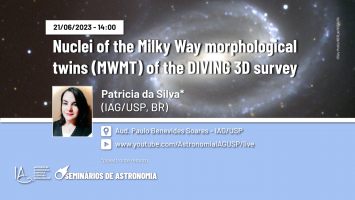 Nuclei of the Milky Way morphological twins (MWMT) of the DIVING 3D survey